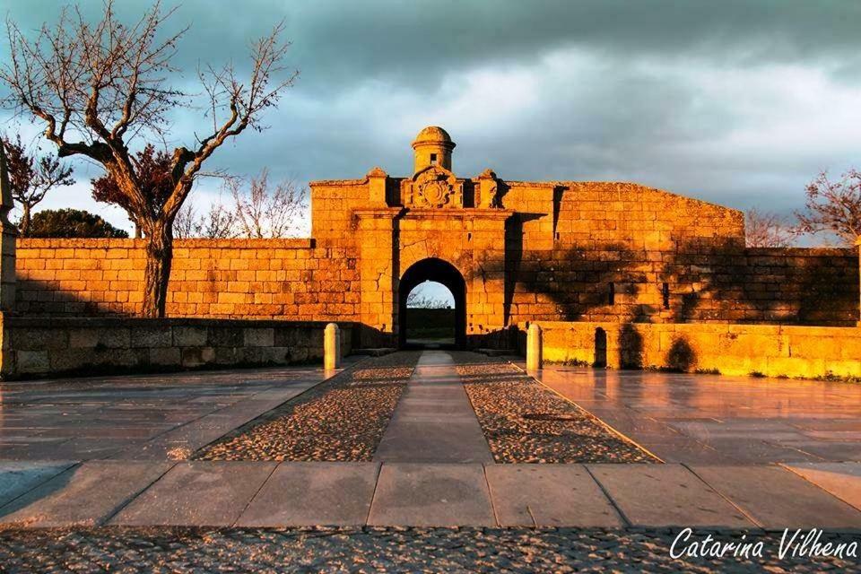 Quinta Do Prado Verde ヴィラル・フォルモーゾ エクステリア 写真